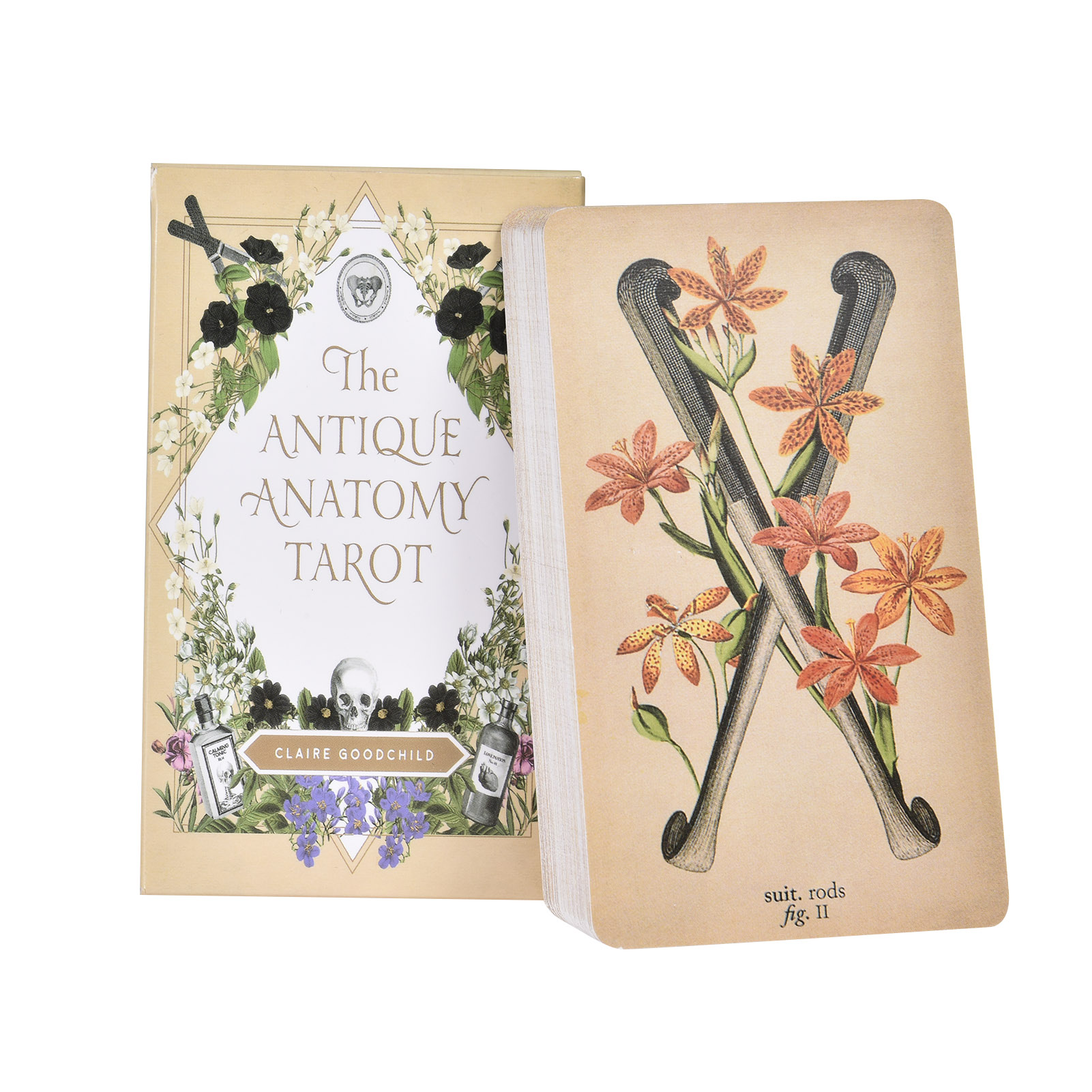 Board Game Pdf - The Antique Anatomy Tarot Cards English
