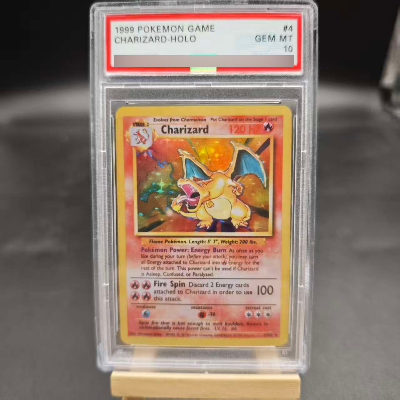 Diy 1ST Venusaur Gyarados Char - Board Game Pokemon review and price