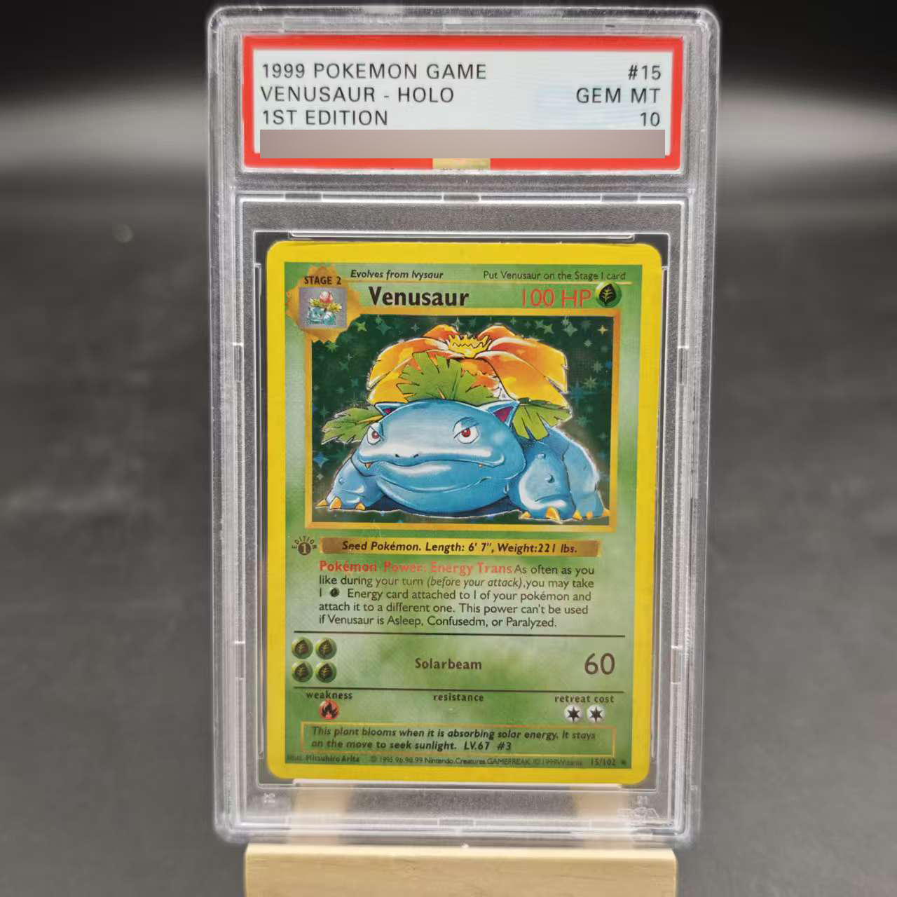Diy 1ST Venusaur Gyarados Char - Board Game Pokemon review and price